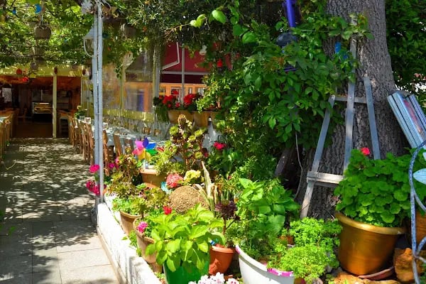 Nissi Restaurant & cafe - Resim 7