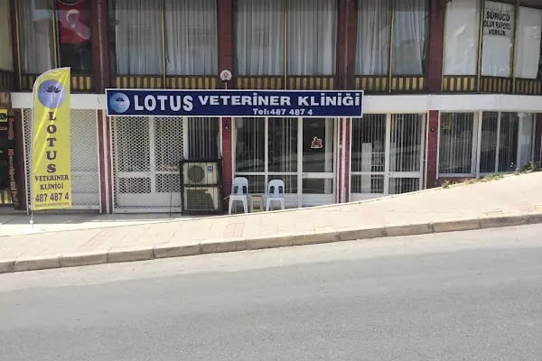 Lotus Veteriner Kliniği - Resim 8