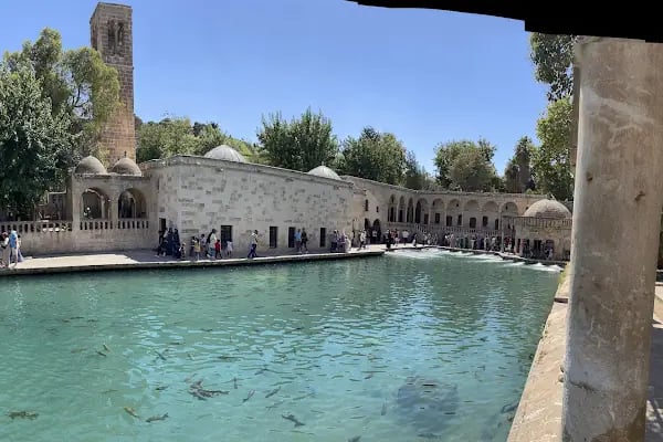 HARRAN ÜNİVERSİTESİ URFA EVİ UYGULAMA OTELİ - Resim 3