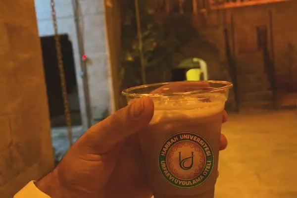 HARRAN ÜNİVERSİTESİ URFA EVİ UYGULAMA OTELİ - Resim 8