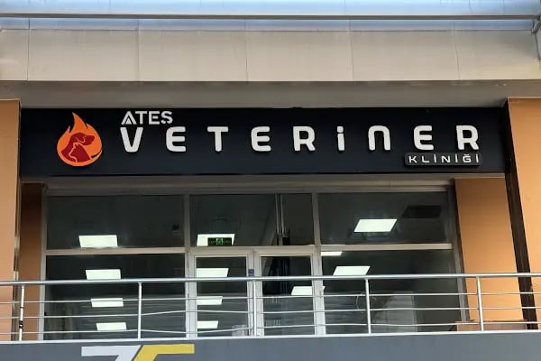 Ateş Veteriner Kliniği - Resim 3