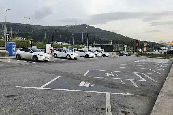 O68 Oksijen Gemlik - Resim 5