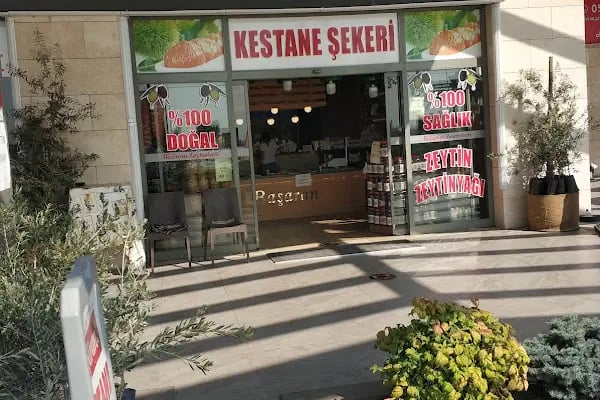 O68 Oksijen Gemlik - Resim 18
