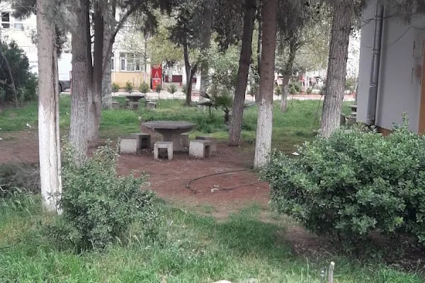 Ceylanpınar Gençlik Parkı - Resim 17