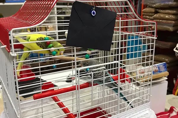 Uysal Petshop - Resim 12