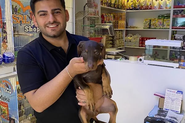 Uysal Petshop - Resim 16