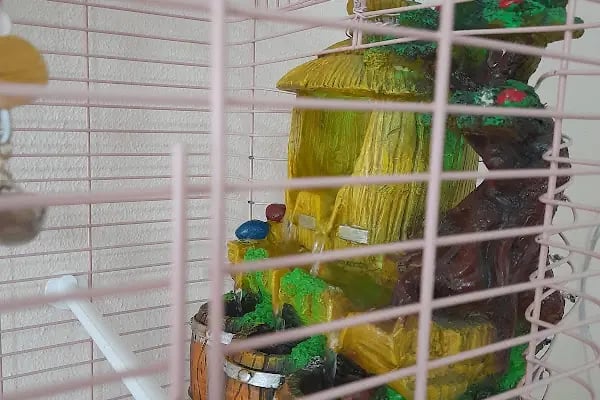 Uysal Petshop - Resim 2