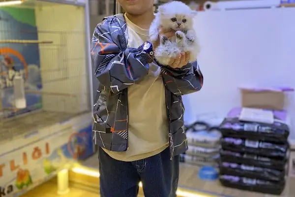Uysal Petshop - Resim 7