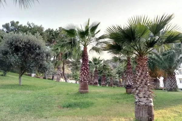 Alin Hotel - Resim 9