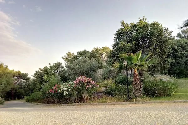 Alin Hotel - Resim 7
