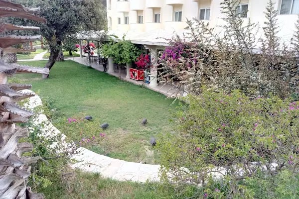 Alin Hotel - Resim 6