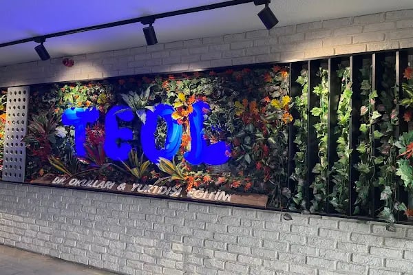 Ankara İngilizce Kursu - TEOL Ankara Dil Okulu Şubesi TELC Sınav Merkezi - Resim 11