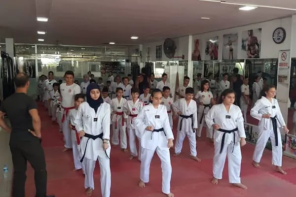 ALANYA ŞAMPİYON SPOR KULÜBÜ TAEKWONDO KİCKBOKS BOKS - Resim 3