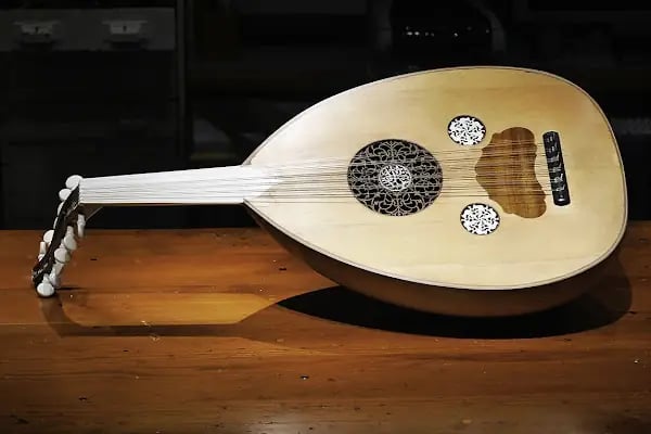 Taylan Müzik Evi - Resim 2