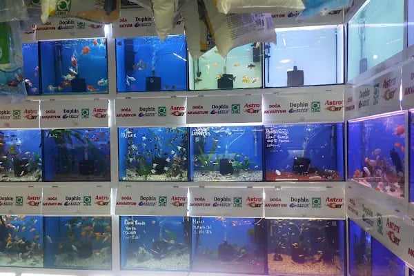 Doğa Pet Shop - Resim 2