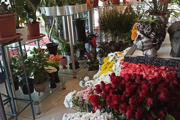 Ankara Çiçek Siparişi.. Dilşad Çiçekçilik - Resim 13