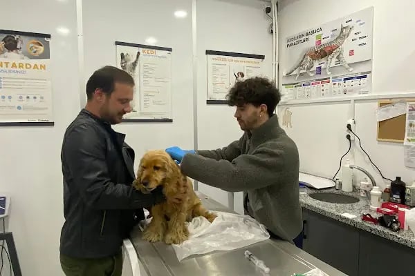 Başiskele ONAT VETERİNER KLİNİĞİ - Resim 3