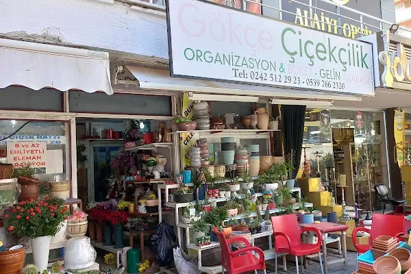 Gökçe Çiçekçilik - Resim 2