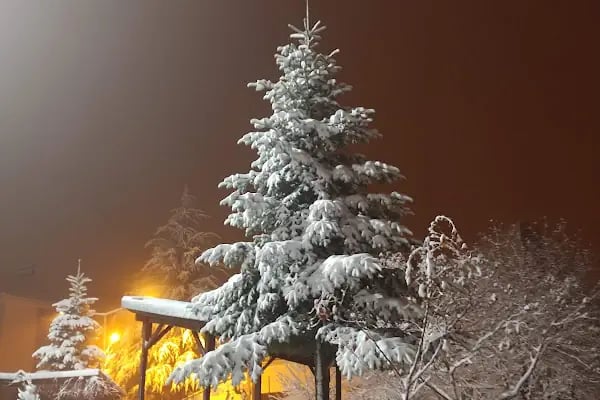 Bozdağ Döner Otel - Resim 7