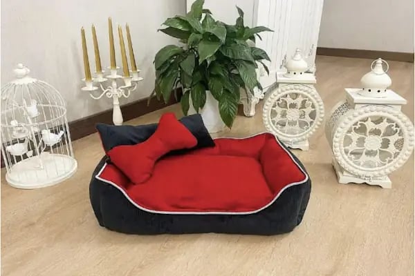 Paticim Petshop - Resim 17
