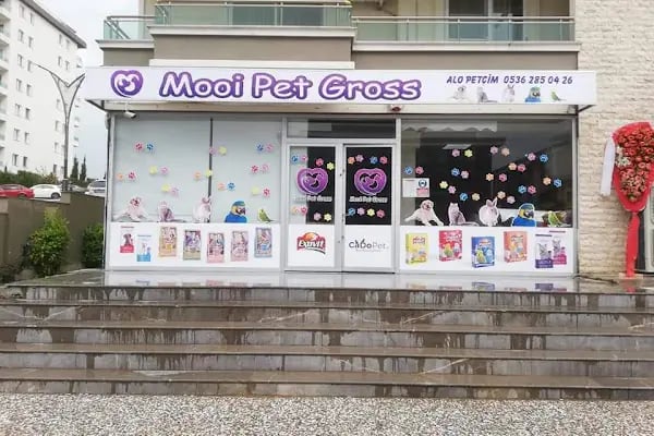 MOOİ PET GROSS - Resim 1
