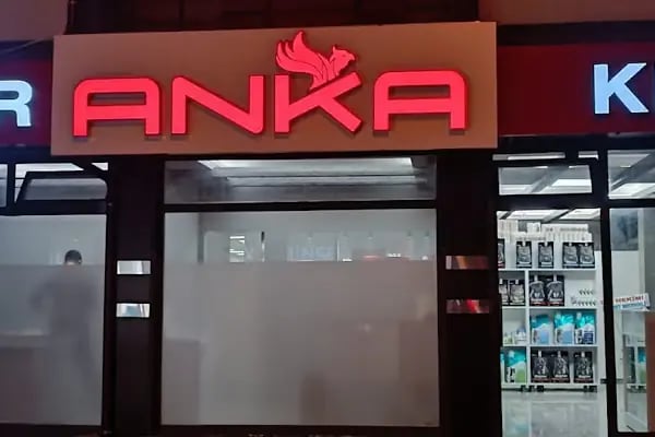 Anka Veteriner Kliniği - Resim 2