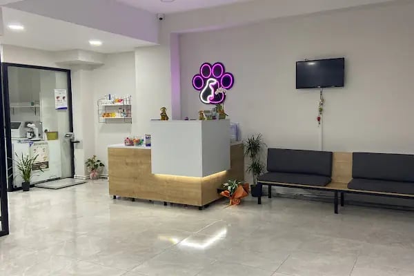 Patimed Veteriner Kliniği - Resim 3