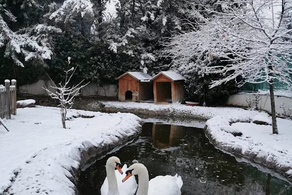 Kuğulu Montessori Okulu - Oran - Resim 3