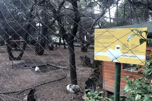 BEF Doğal Yaşam Parkı - Resim 11