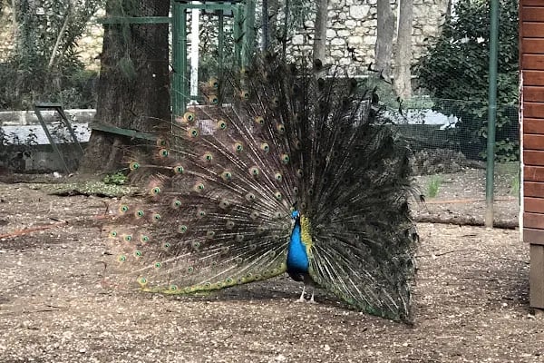 BEF Doğal Yaşam Parkı - Resim 1