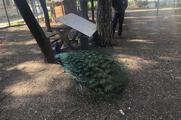 BEF Doğal Yaşam Parkı - Resim 9