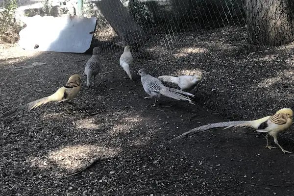 BEF Doğal Yaşam Parkı - Resim 19