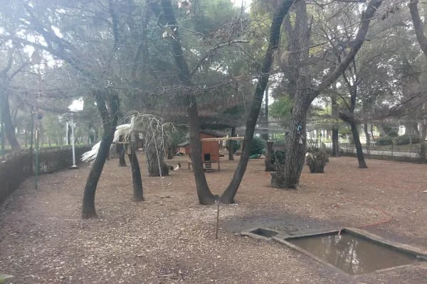 BEF Doğal Yaşam Parkı - Resim 3