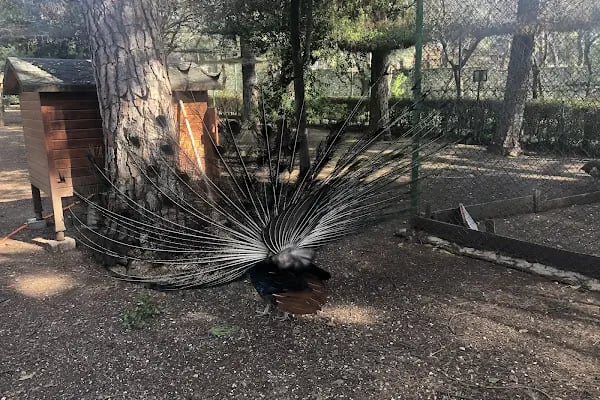 BEF Doğal Yaşam Parkı - Resim 14