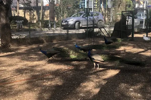 BEF Doğal Yaşam Parkı - Resim 13