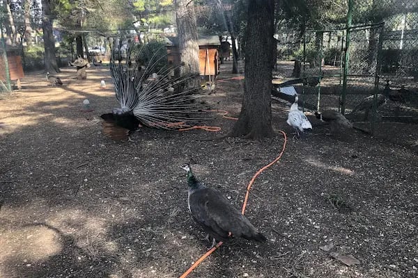 BEF Doğal Yaşam Parkı - Resim 20