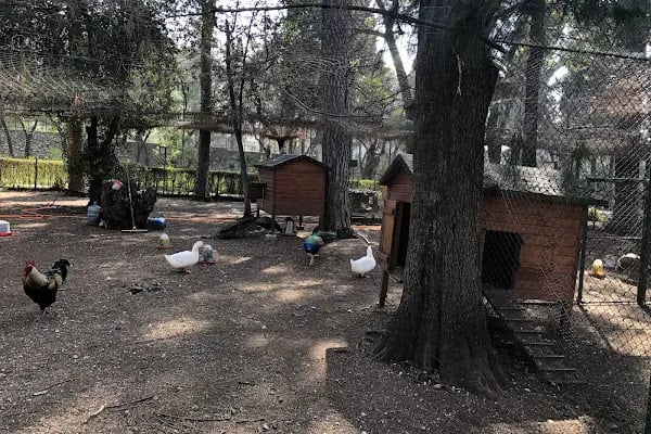 BEF Doğal Yaşam Parkı - Resim 18