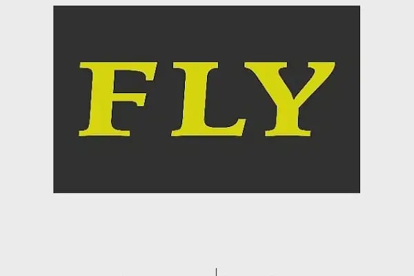 Fly - Resim 2