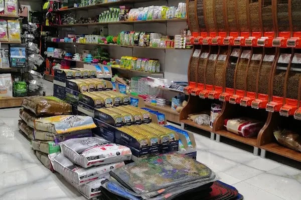 Çağrı Petshop - Resim 6