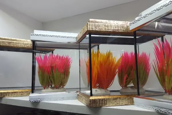 Çağrı Petshop - Resim 4