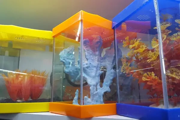 Çağrı Petshop - Resim 8