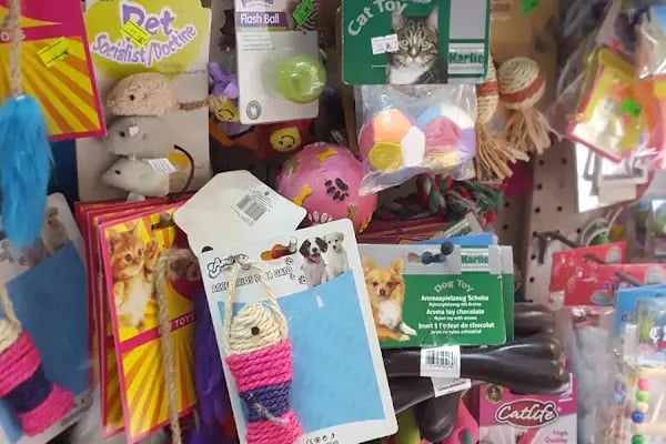 Çağrı Petshop - Resim 3