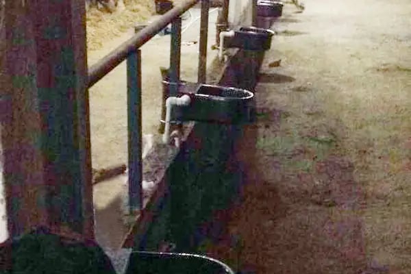 AsilFarm Çiftlik Ekipmanları - Resim 11