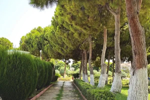 Altın Tatil Sitesi - Resim 16