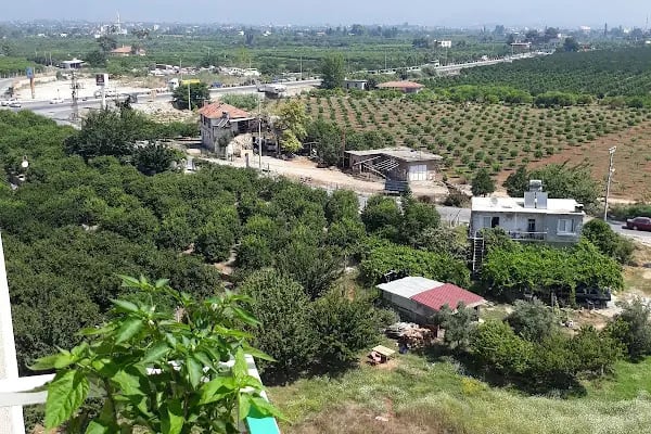 Altın Tatil Sitesi - Resim 5