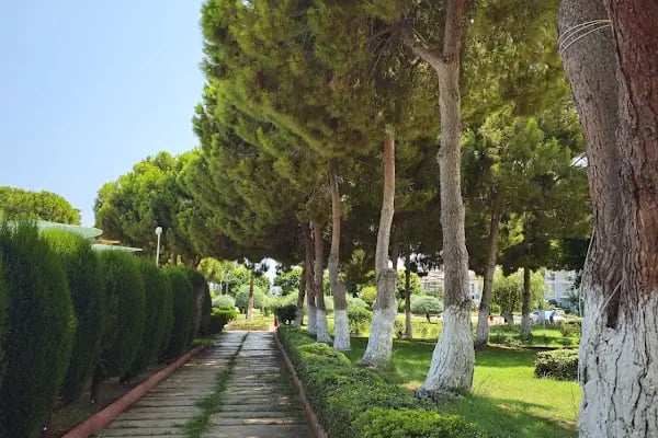 Altın Tatil Sitesi - Resim 3