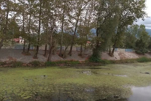 Balıkçı Selim - Resim 18