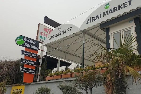 Avcılar Botanik - Resim 14