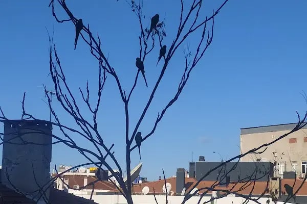 Titan House hostel - Resim 1
