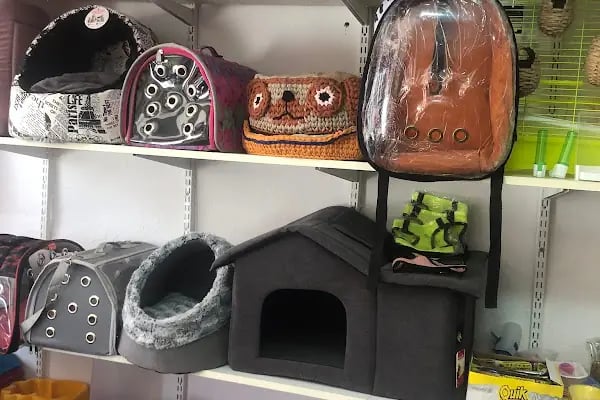 AYVALIK PETSHOP | MGB Petshop - Resim 11